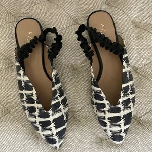 Black and white mule